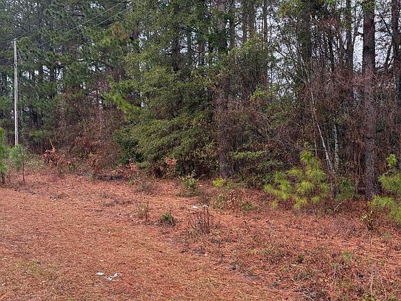 3rd image of 0 Neds Cv