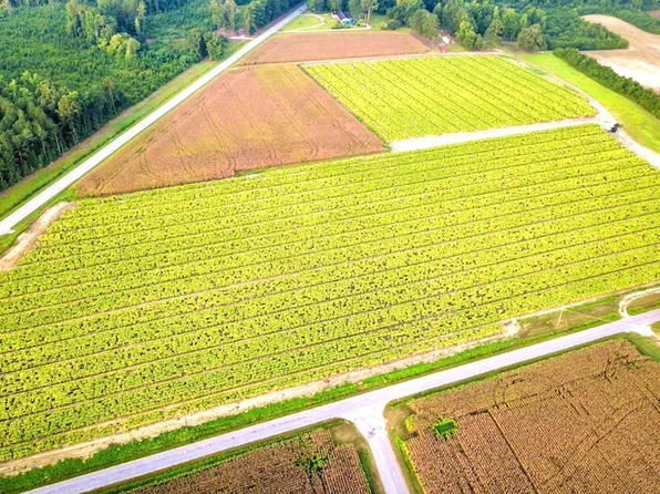 Highway 41 S Lot A-wp001, Fork, SC 29543