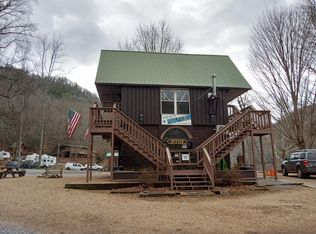101 Jones Branch Rd, Erwin, TN 37650