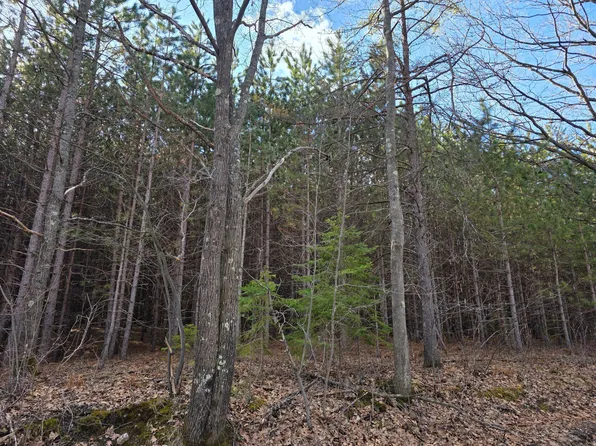 Roe Lake Rd, Rhinelander, WI 54501