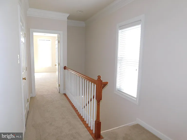 937 Hidden Marsh St — Photo 11