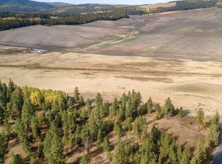 10808 S Jackson Rd, Mica, WA 99023