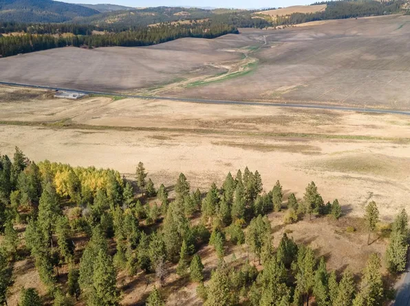 10808 S Jackson Rd, Mica, WA 99023