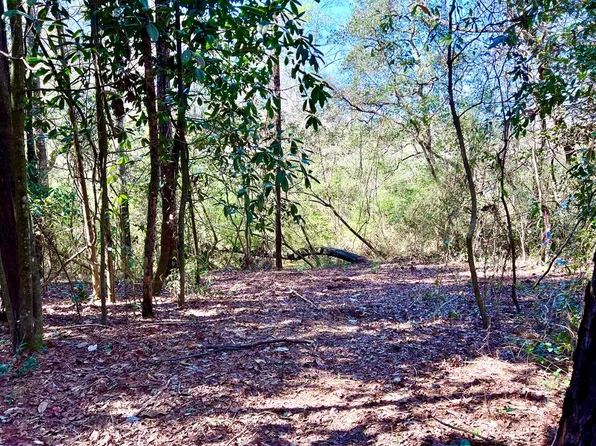 0 County Road 33 Lot 8, Headland, AL 36345