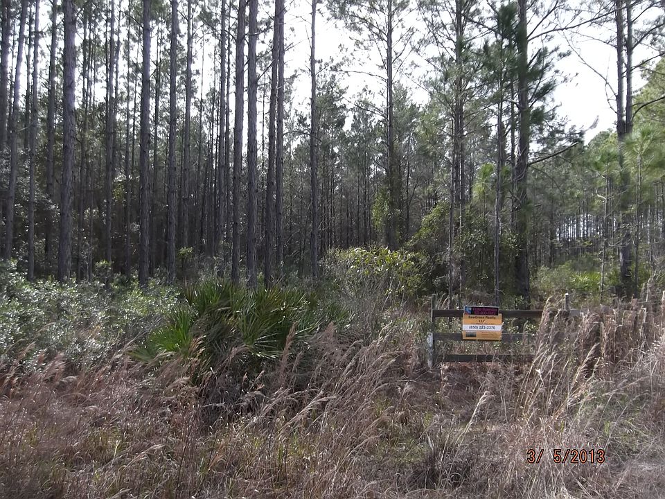 2nd image of Key Deer Court