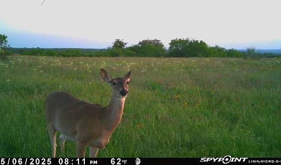 4th image of 343 County Rd