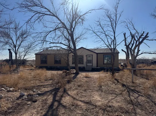 185 E Blevins Rd, Artesia, NM 88210