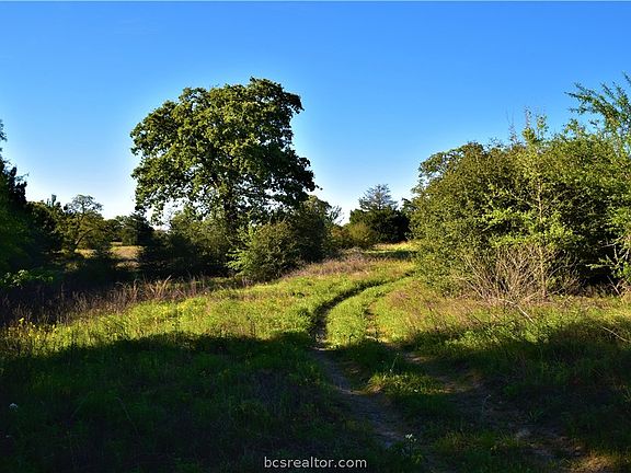 2nd image of County Road 339