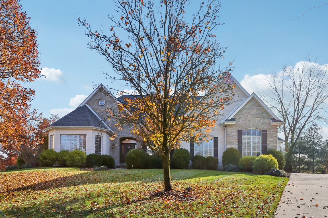 Box Turtle Ct-S2311-001.jpg