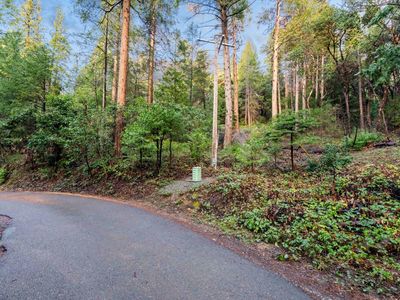 24870 Ridge Crest Dr, Pioneer, CA, 95666