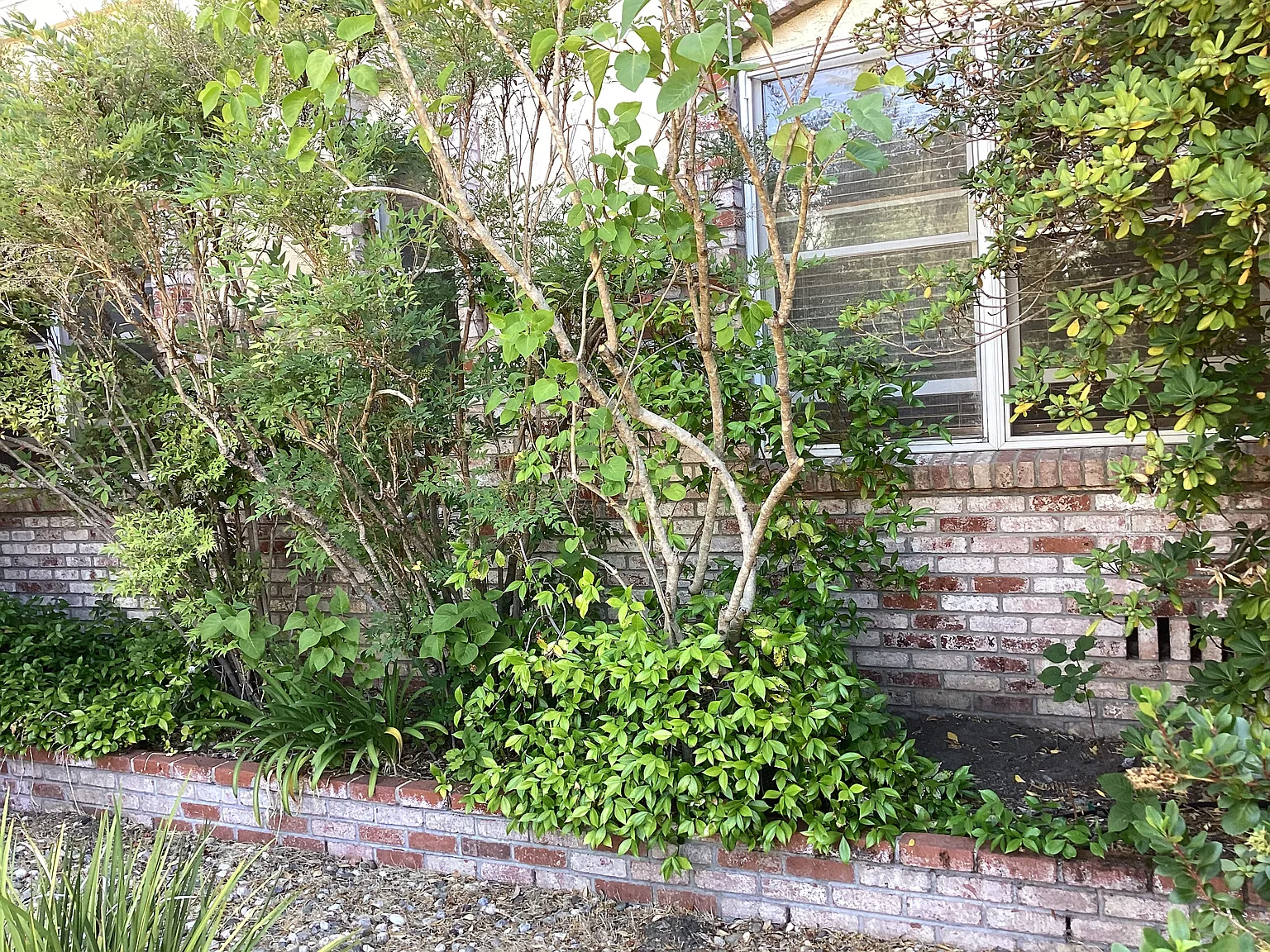 Michael Way, Calistoga — Photo 3