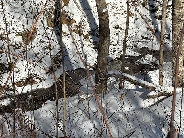 2nd image of 0 Whitcomb Hill Road