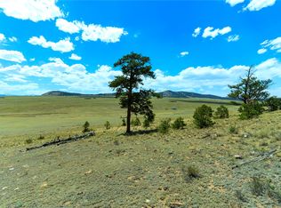 1408 Larimer Dr, Hartsel, CO 80449