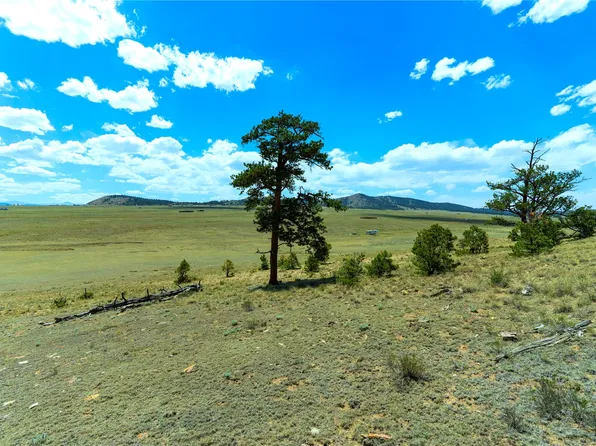 1408 Larimer Drive, Hartsel, CO 80449