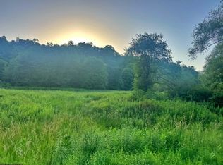 0 Saltlick Rd, Terra Alta, WV 26764