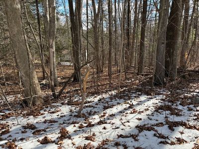 54 Williams Rd, Holland, MA, 01521
