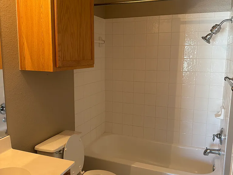 3809 Castle Rock Cv — Photo 14