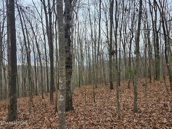 4th image of Peacock Rd