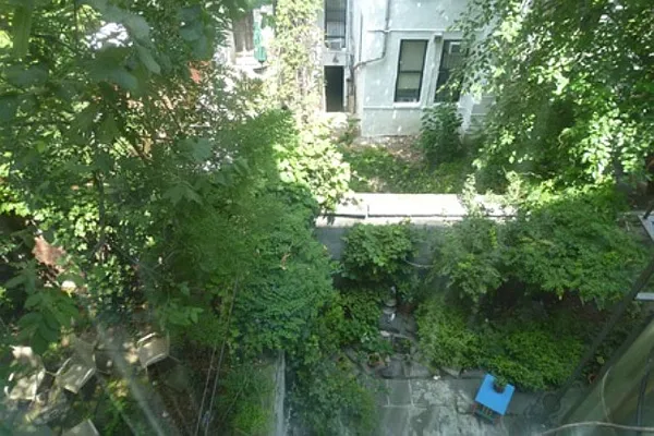 Rented by (Legacy) NY Quality Living Uptown | media 8