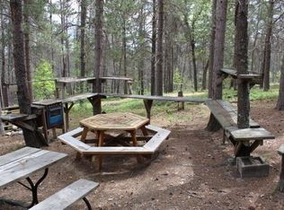 Parma Rd, Grayling, MI 49738