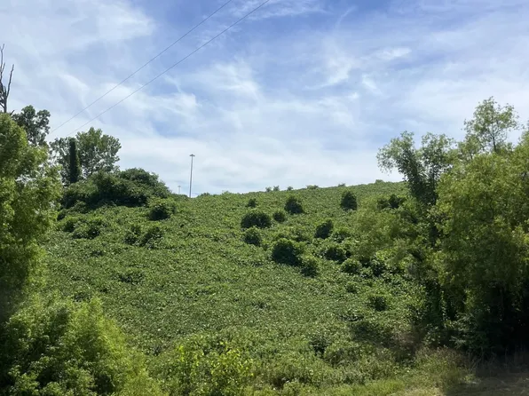 0 Highway 178 W, Blue Springs, MS 38828