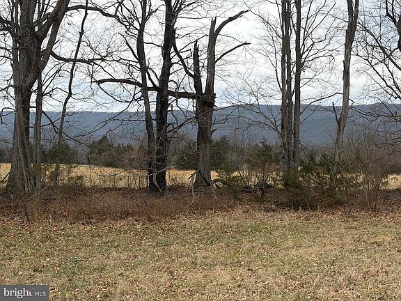 4th image of Zepp Rd