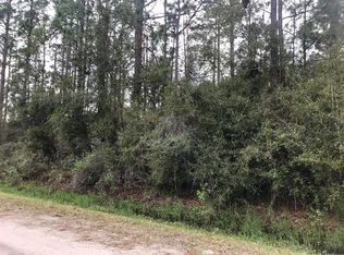 1100 Hazelnut St, Bunnell, FL 32110