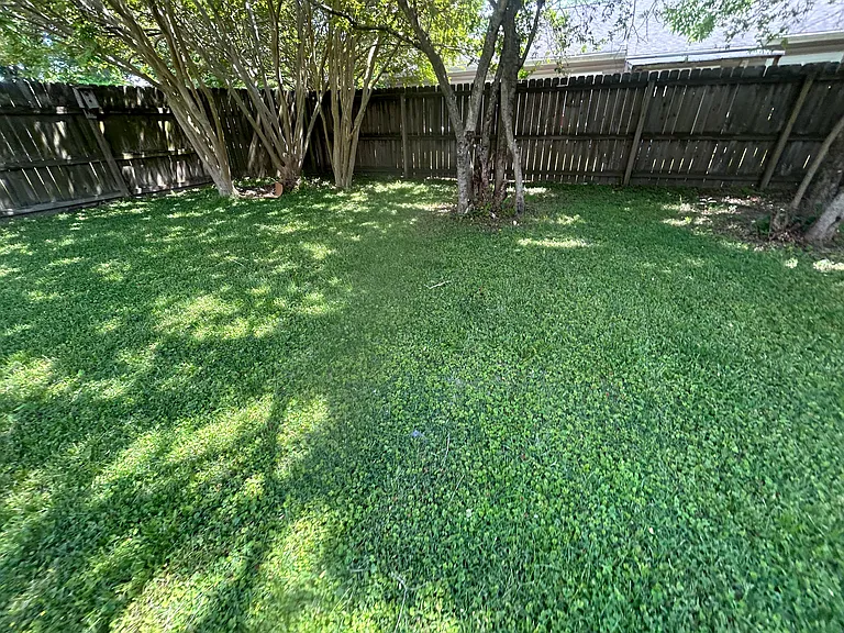 5802 Edith Ct — Photo 22