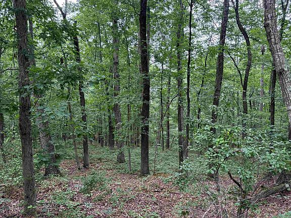 2nd image of Pine Dr
