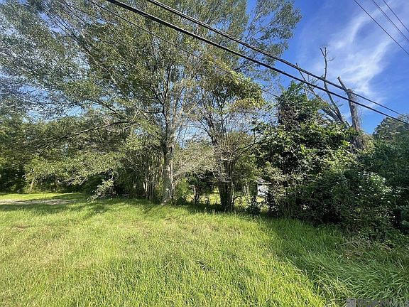 5th image of 13311 Plank Rd