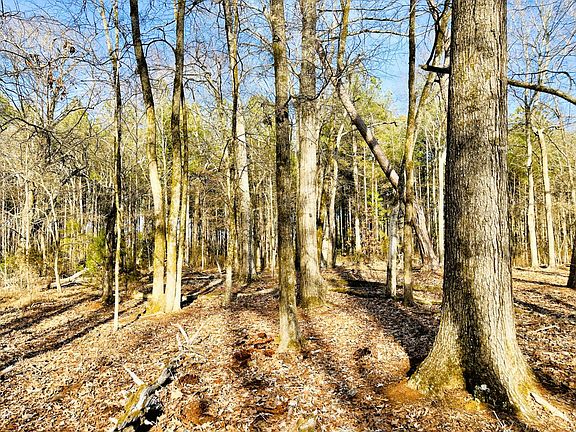 5th image of Briarwood Rd