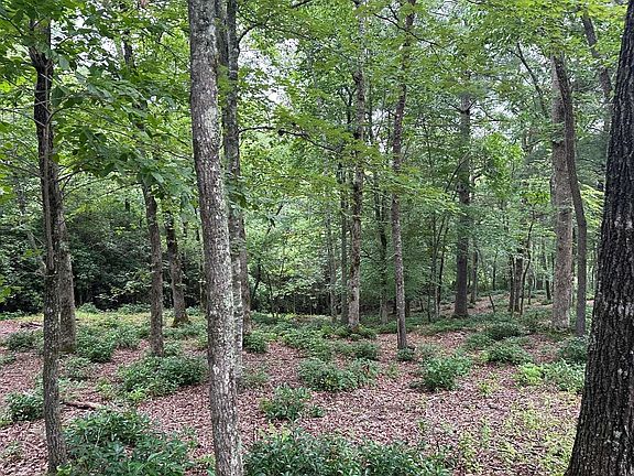 2nd image of 21 Brasstown