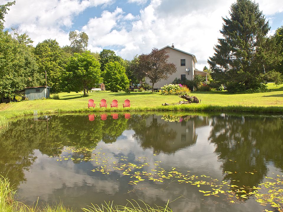 Pond View