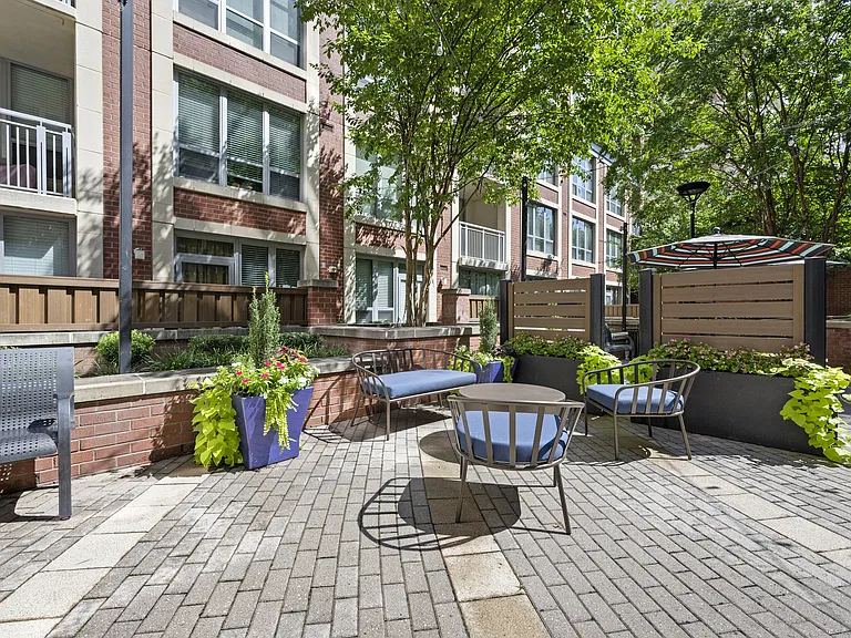 Sofi 55 Hundred — Photo 10