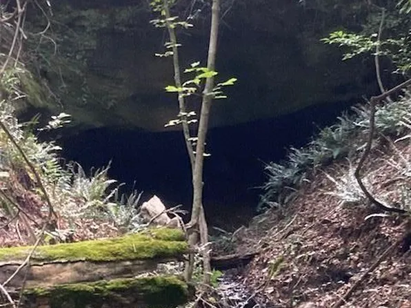 Bowmans Run Bashan Rd, Racine, OH 45771