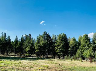9592 Sierra Springs Dr, Pinetop, AZ 85935