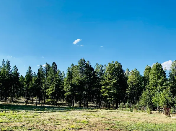 9592 Sierra Springs Dr, Pinetop, AZ 85935