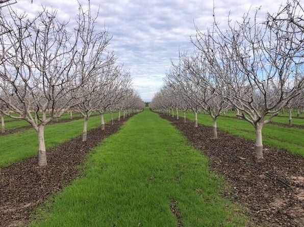  Road 248, Ducor, CA 93218
