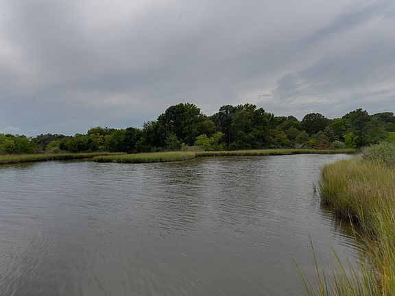 Water views
