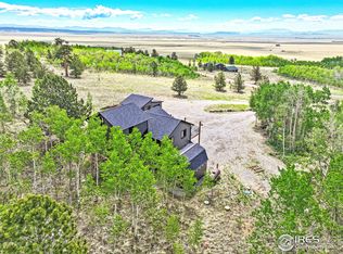 1424 Sheep Ridge Rd, Fairplay, CO 80440