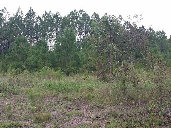 5th image of LOT 38-39 Stone Bridge Tr