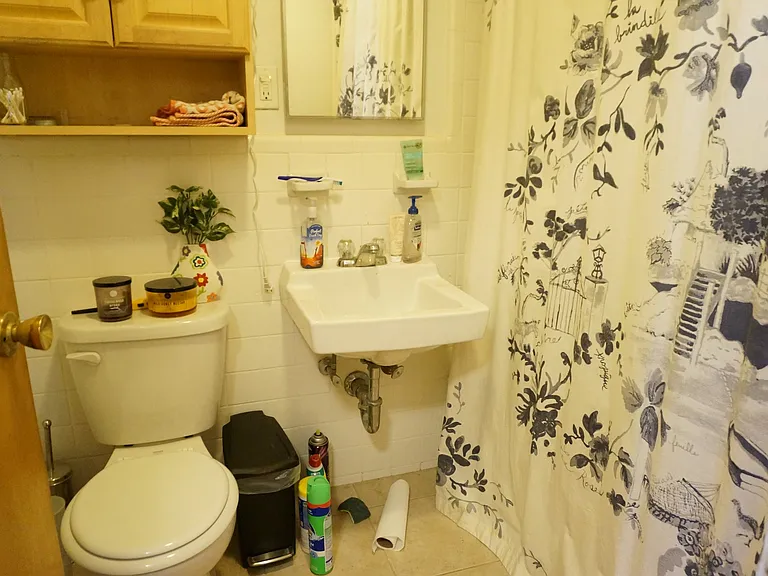 312 Tappan St #8 — Photo 8