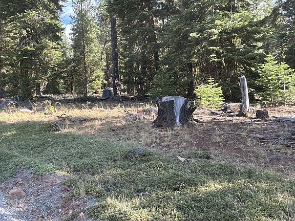 5th image of Truckee Dr