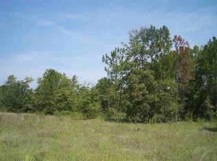 3503 Irvin Rd, Helena, GA 31037