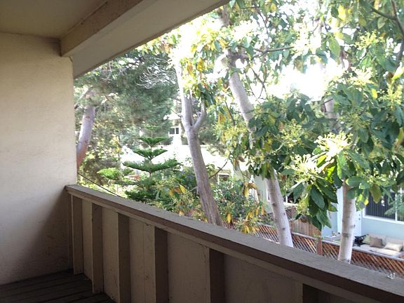 5th image of 746 Sutter Ave