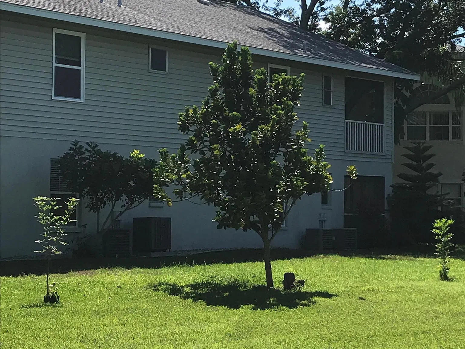 2 bed, 1200 sqft, $1,800 — Photo 4