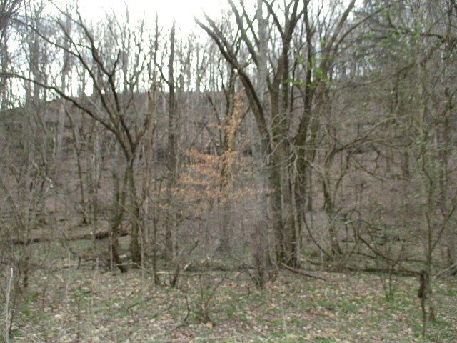 1st image of 0 Rogues Fork Rd