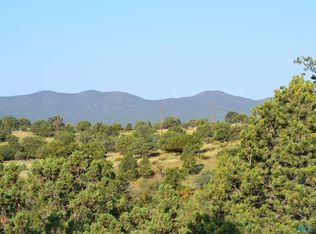Cygnet, Silver City, NM 88061