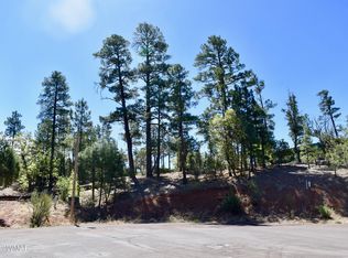 4601 S Manzanita Way, Show Low, AZ 85901