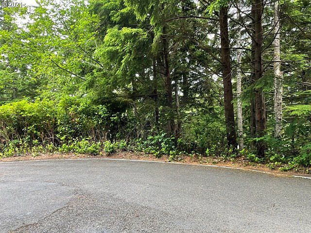 2nd image of 496 Spruce Burl Ln